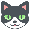 cat_face